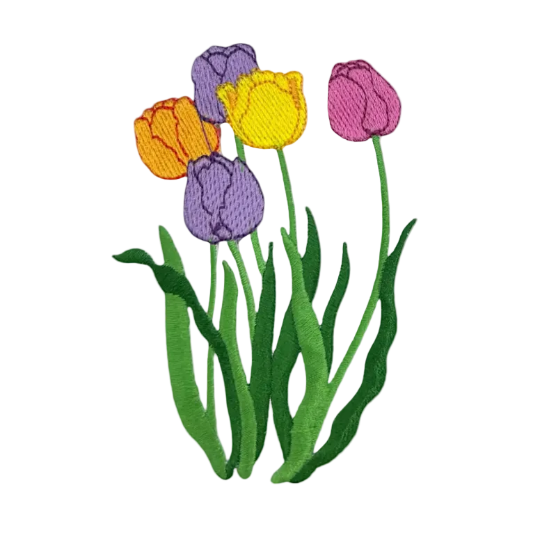 Tulips